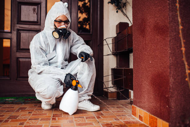 Reliable Bed Bug Control contractor in Manchester, OH by Nex Pest Control
