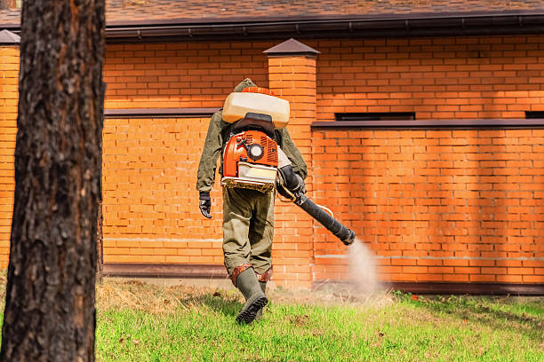 Trusted Mosquito Control service in Manchester, OH - Nex Pest Control